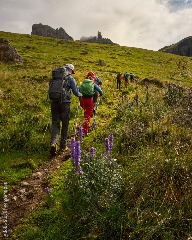 Obraz premium treading up hill to a lone peak amongst alpine flora in the italian Dolomitees in summer
