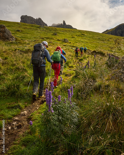 treading up hill to a lone peak amongst alpine flora in the italian Dolomitees in summer