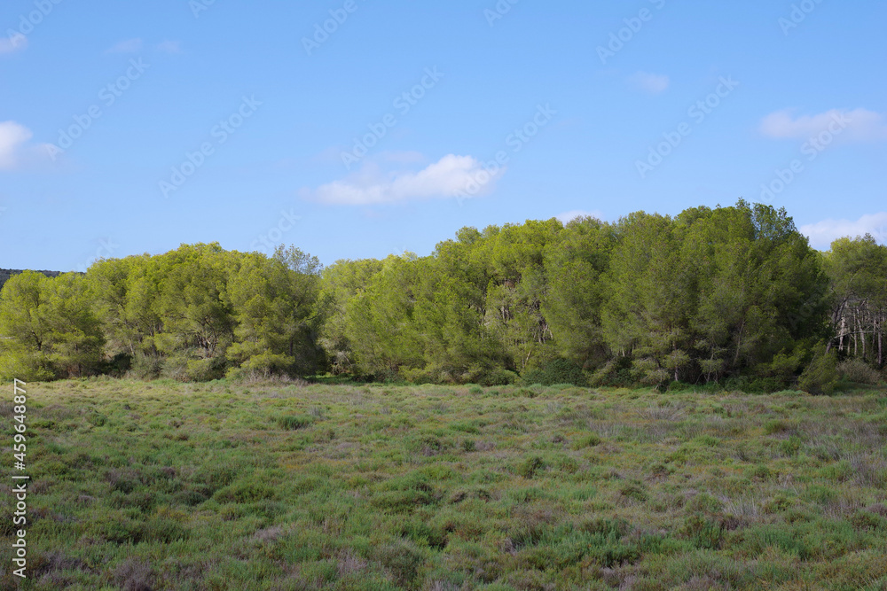 Réserve naturelle s'Albufera des Grau