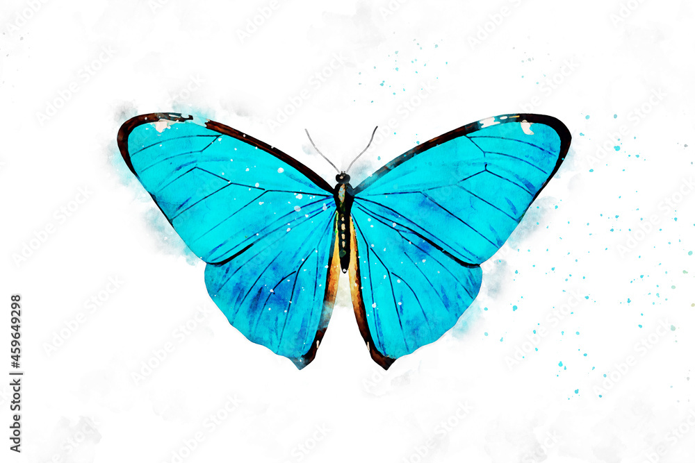Obraz premium All kinds of beautiful watercolor butterfly illustrations
