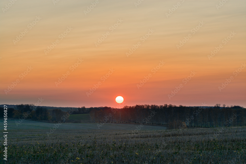 sunset over the field and forest