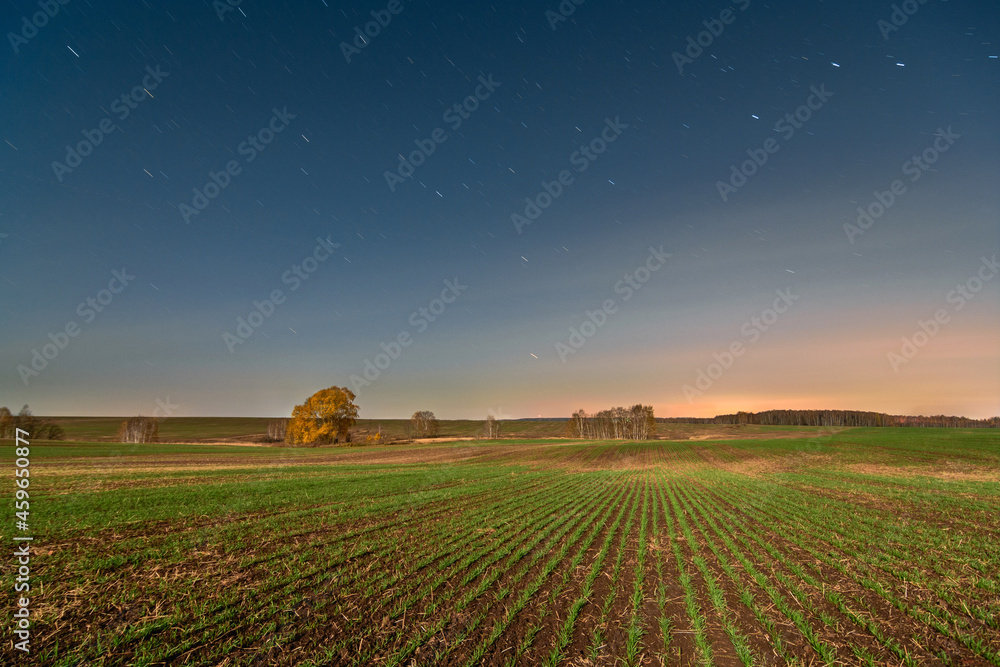 star trails over farm wheat field