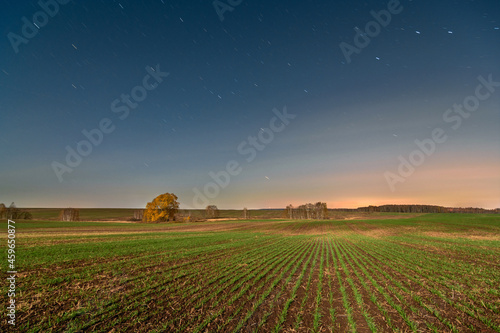 star trails over farm wheat field