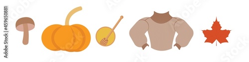 Autumn seasonal attributes vector illustration