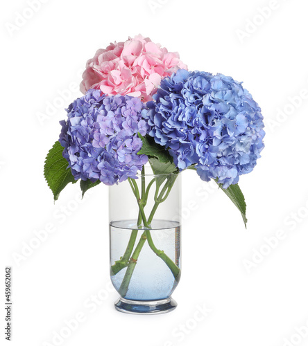 Bouquet with beautiful hortensia flowers isolated on white