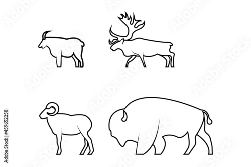 Horned wildlife animals vector illustration on a white background