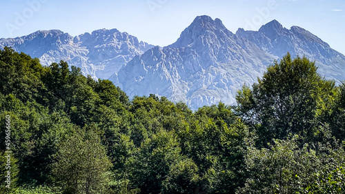 Fototapeta Naklejka Na Ścianę i Meble -  Landscape with the trees under the high and beautiful mountains at the bottom, Picos de Europa