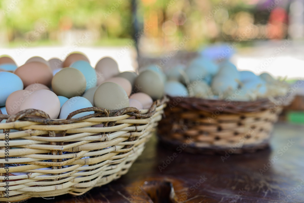 basket with eggs basket with eggs