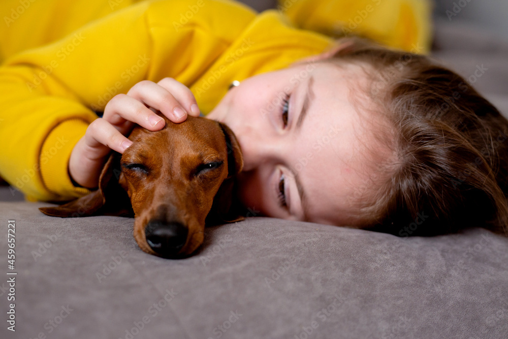 portrait of cute little girl in yellow clothes lying in bed with a dwarf dachshund in blue jumpsuit. High quality photo