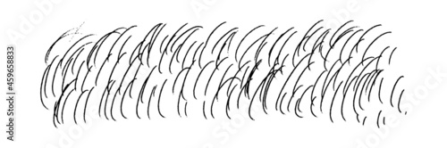 Fototapeta Naklejka Na Ścianę i Meble -  Doodle-drawn hairs wool. Hand-drawn jagged slender small rounded shapes. Horizontal background texture isolated on white.