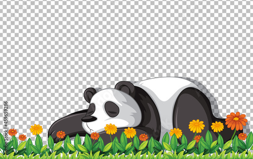 Panda bear laying on green grass on transparent background