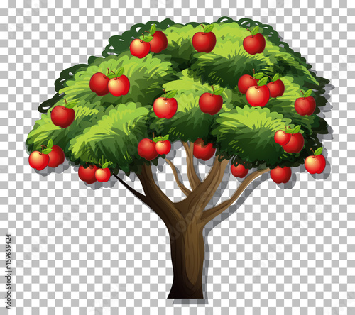 Apple tree on transparent background