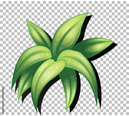 Tropical leaf on transparent background