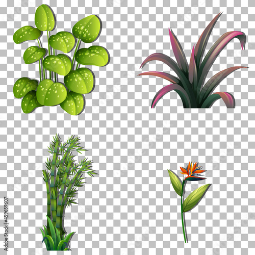 Set of variety plants on transparent background