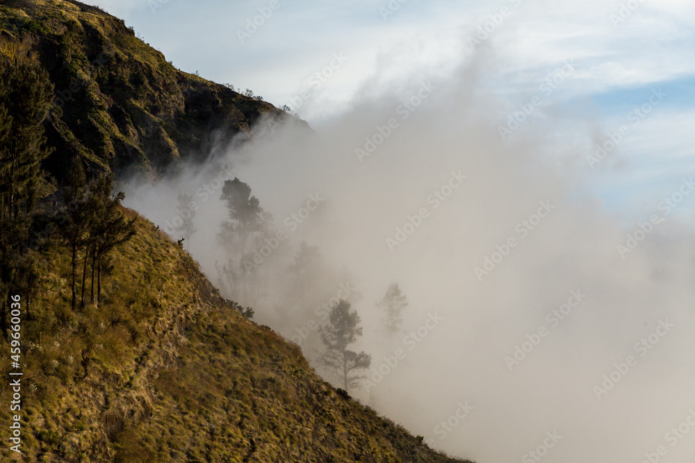 Stunning landscape of mountains with trees in the clouds. Trek to Mount Rinjani, Lombok, Indonesia