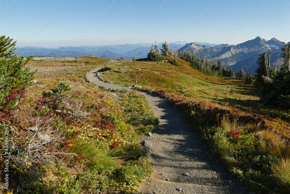 Mount Rainier National Park, popular touristic and hiking destination in Washington, United States