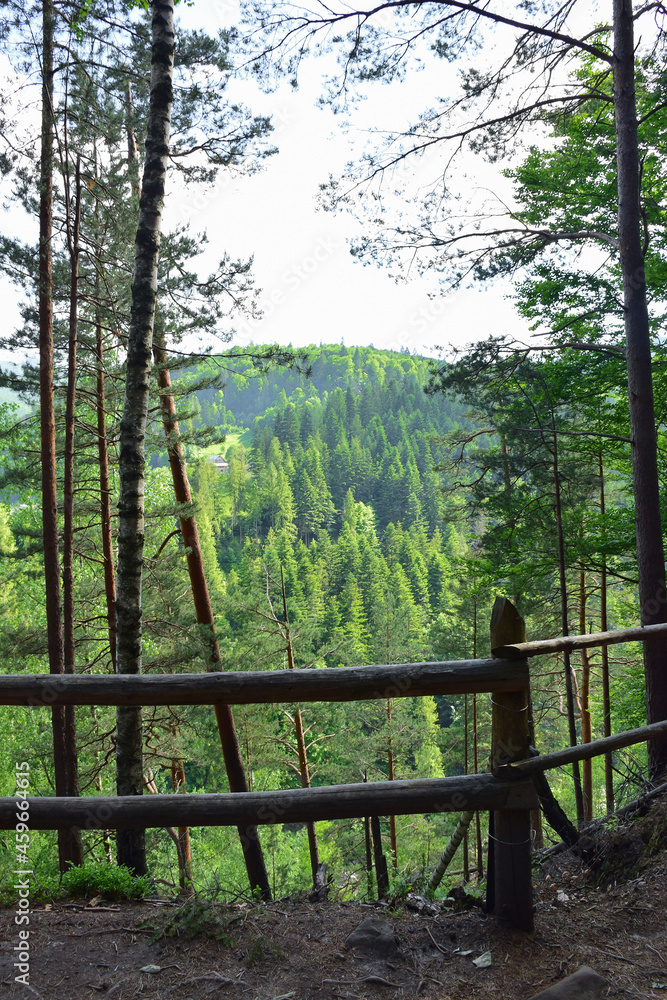A railing of logs over a cliff overgrown with trees. Behind them is a valley between the mountains, the photo was taken in the summer.