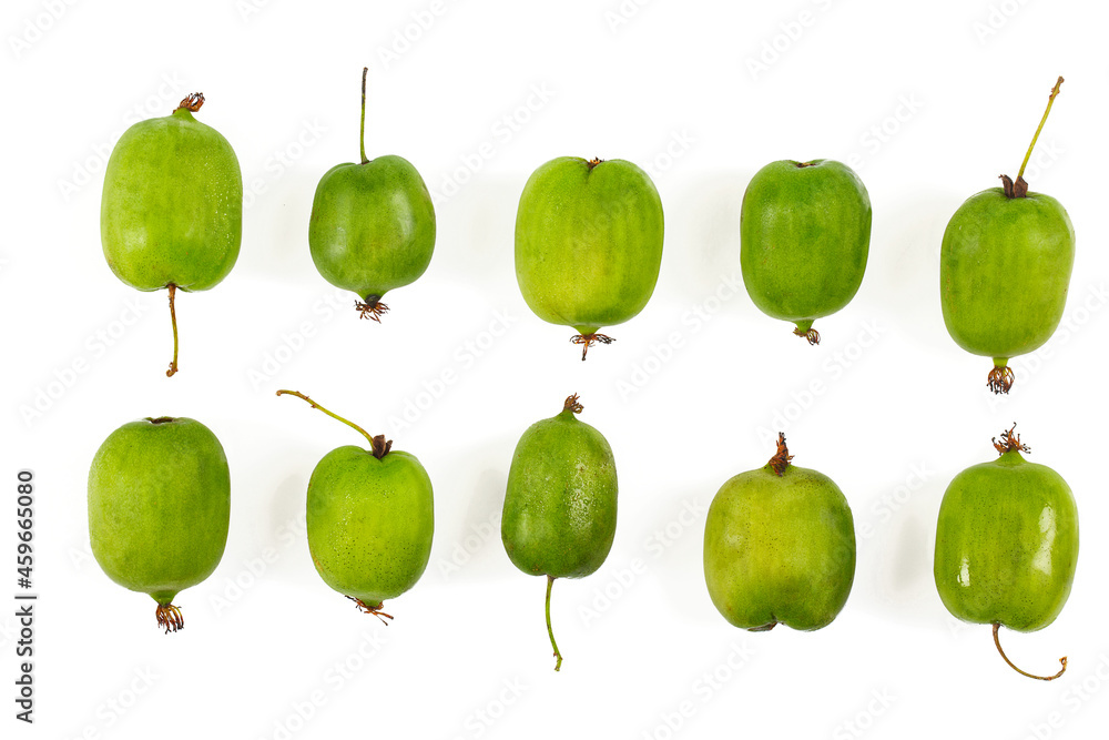 actinidia isolated on white background, close up actinidia isolated on white background, close up