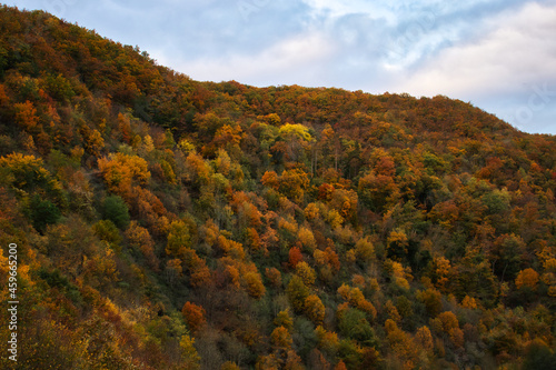 Colorful red, orange, yellow and green trees on a hill next to Eltz Castle on a fall evening in Germany. photo