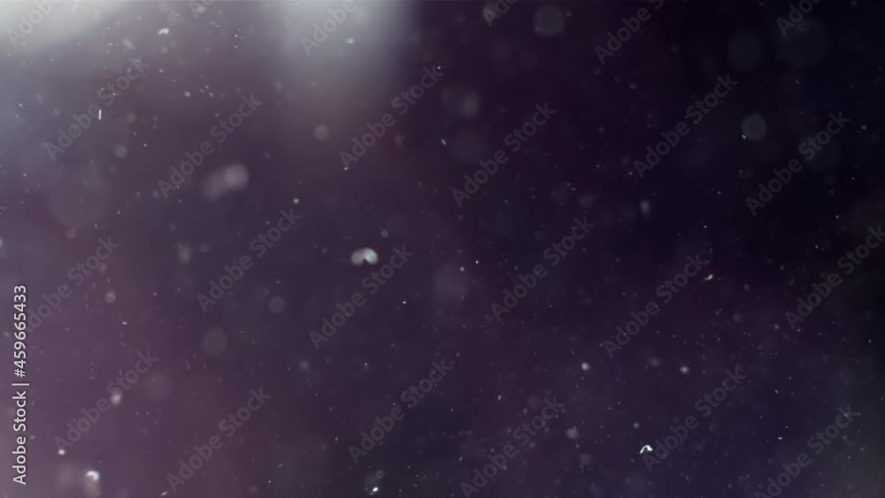 custom made wallpaper toronto digitalA suspension of white particles in the air with color lighting on a black background. Some of the particles are blurred in a beautiful bokeh. 4K background for your videos in various mixing modes.