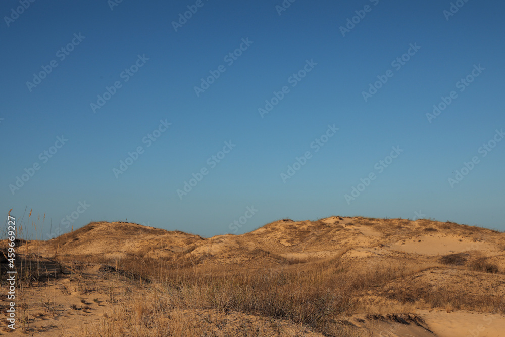 Picturesque view of desert on sunny day