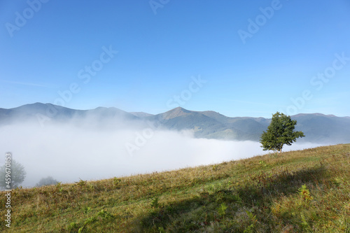 Picturesque view of mountains covered with fog