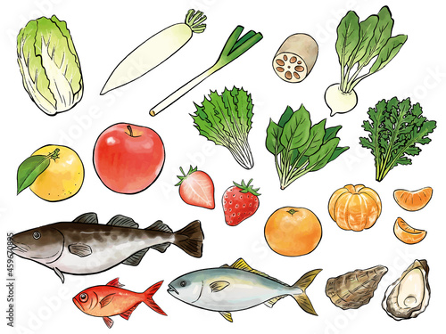 冬においしい旬の食材の水彩イラストセット　Winter Food Watercolor Vector Illustration