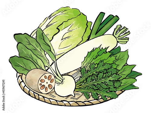 手描きの冬の野菜の盛り合わせ　Winter vegetables Watercolor vector illustration