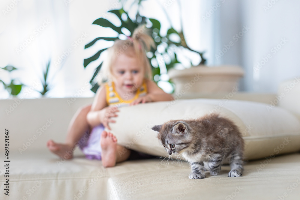 Baby playing with a little kitten Baby playing with a little kitten