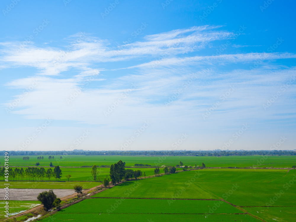 Green field on small hills and blue sky with clouds