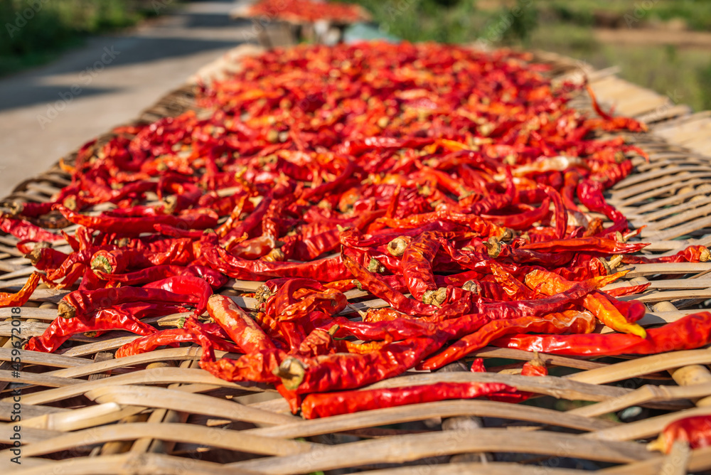 Autumn dried chili background material Autumn dried chili background material
