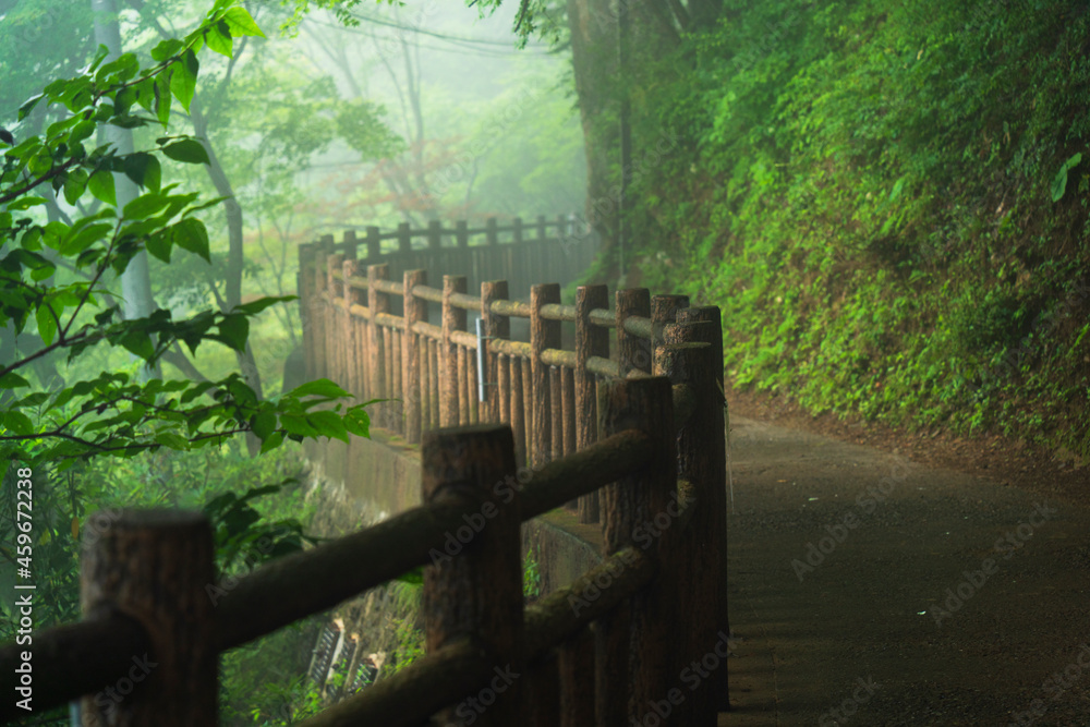 御岳山の朝靄に包まれた登山道【東京都・青梅市】 御岳山の朝靄に包まれた登山道【東京都・青梅市】