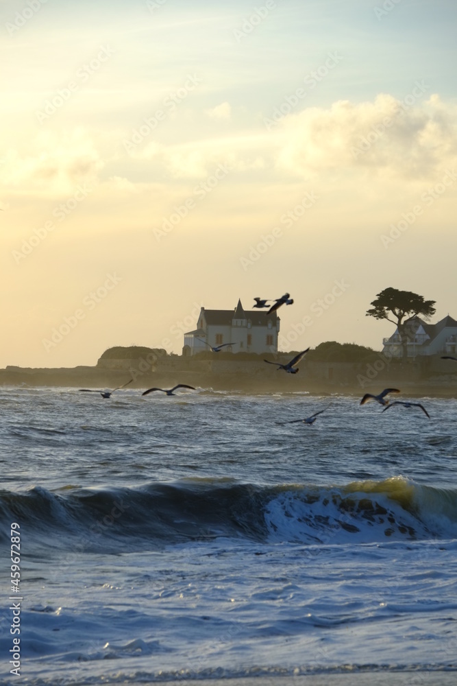 Some birds playing with the wave during the sunset. Batz-sur-Mer, the 27th september 2021. Some birds playing with the wave during the sunset. Batz-sur-Mer, the 27th september 2021.