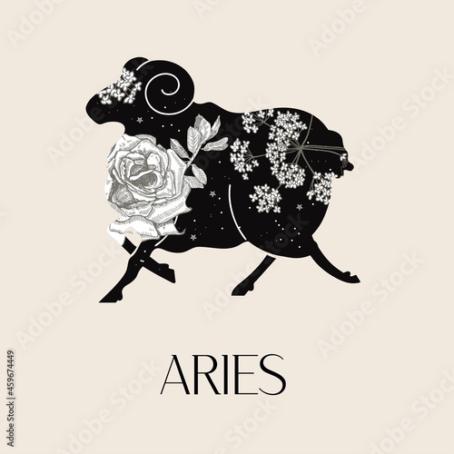 Zodiac sign Aries. The symbol of the astrological horoscope.