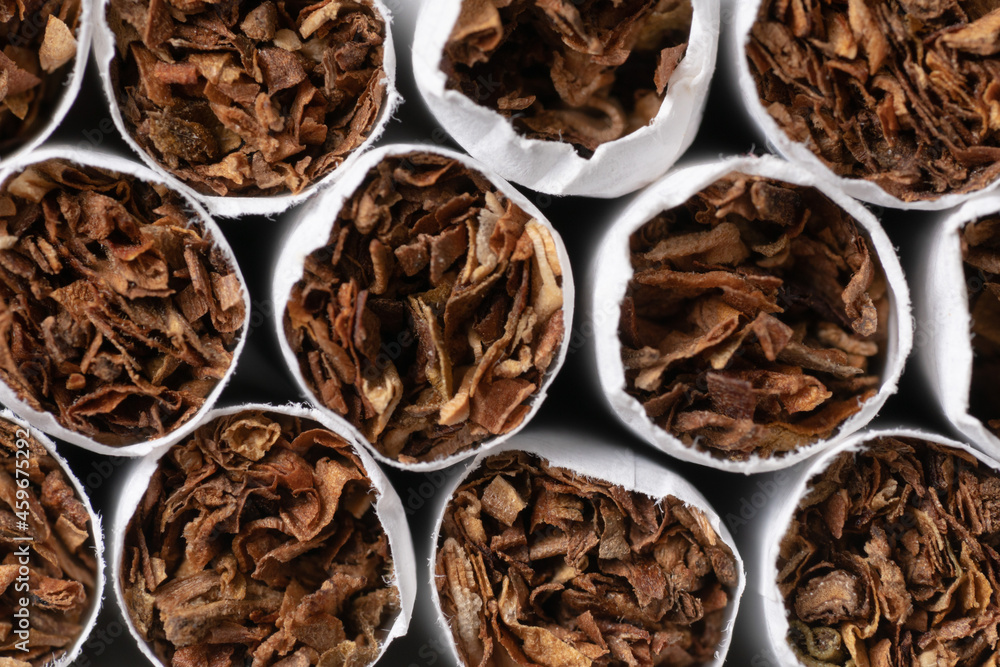 Cigarette production. abstraction with cigarettes. smoking Cigarette production. abstraction with cigarettes. smoking
