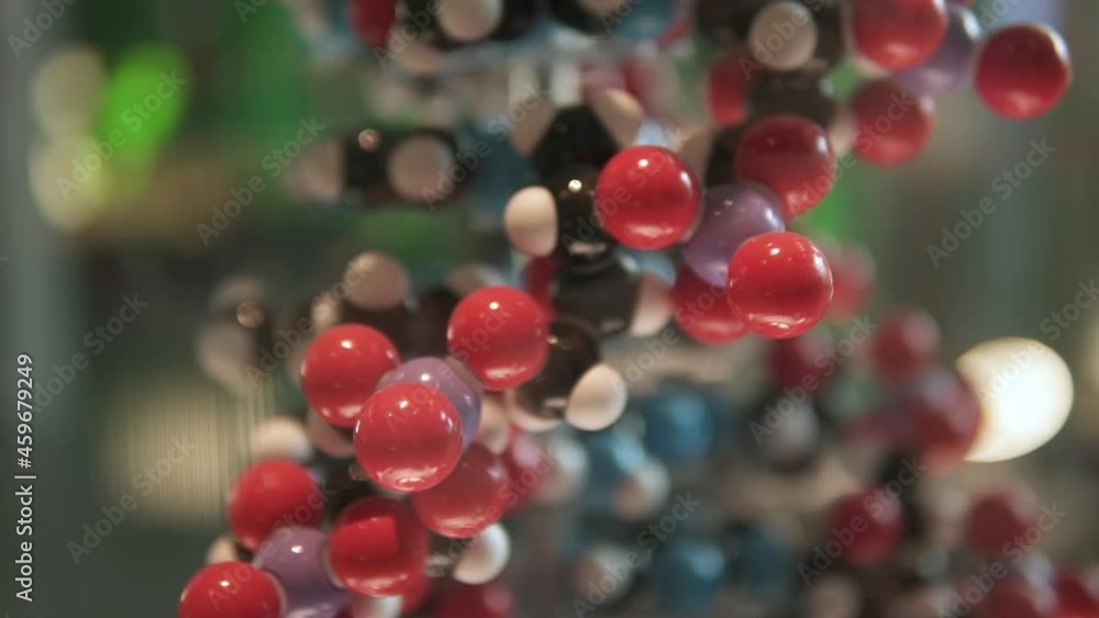 DNA chain structure model. Learning biology of the human genome DNA chain structure model. Learning biology of the human genome