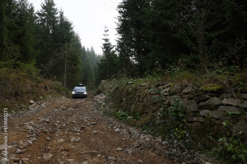 Modern black van on pathway in forest