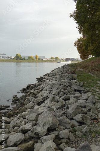 Rhine shore near Altrip with a view to Mannheim Rheinau photo
