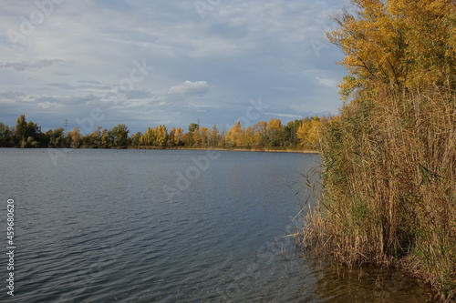Blaue Adria recreational area and natural habitat on an autumn day, Altrip Germany
