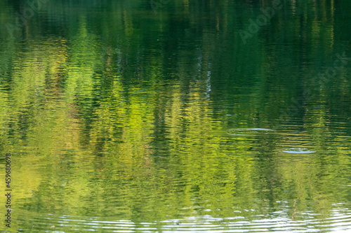 Water surface texture with green forest reflection.