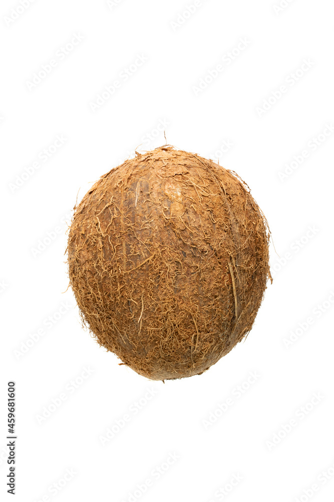 Coconut Isolated, Fresh Brown Cocos, Coco Nut Coconut Isolated, Fresh Brown Cocos, Coco Nut