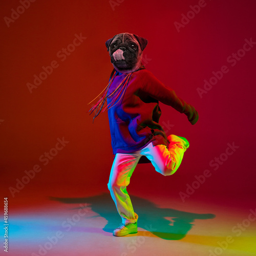 Art collage. Young man, hip hop dancer headed of dog's head dancing isolated over dark red background in neon light. Inspiration, idea, street dance style. © master1305