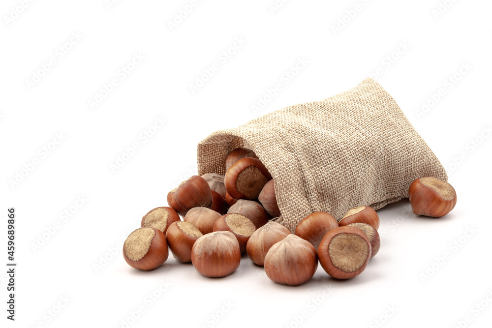fresh hazelnuts in a canvas bag on white background fresh hazelnuts in a canvas bag on white background
