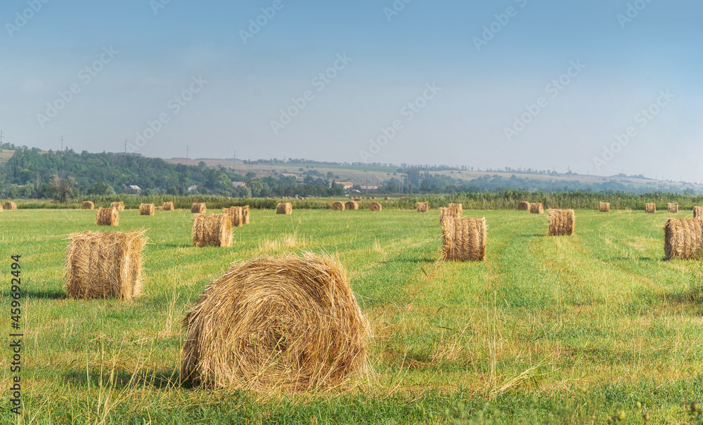 Haystacks on the field on a summer day
