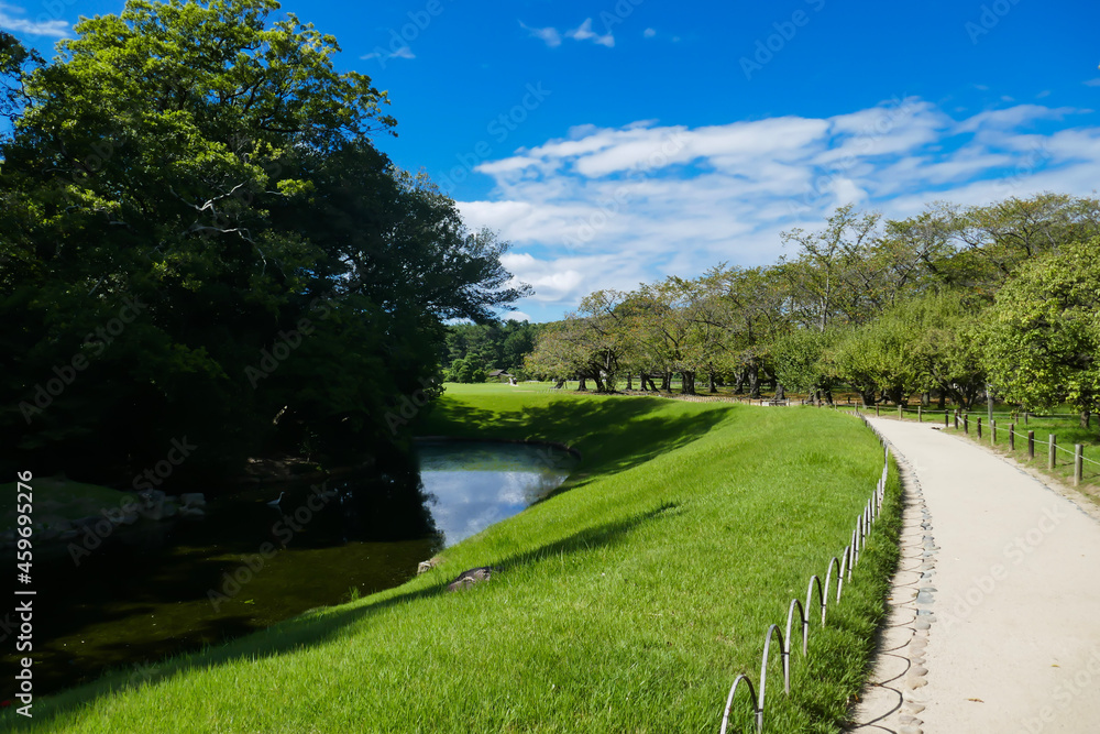 landscape with river