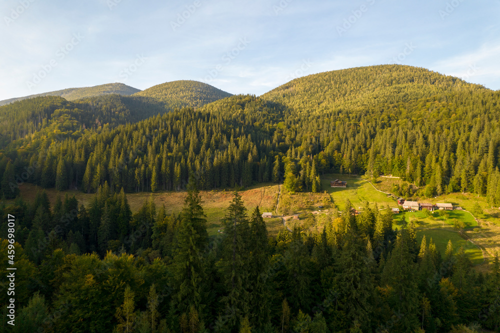 Beautiful view of the colorful mountains covered coniferous forests. Colorful sunset. Ukraine