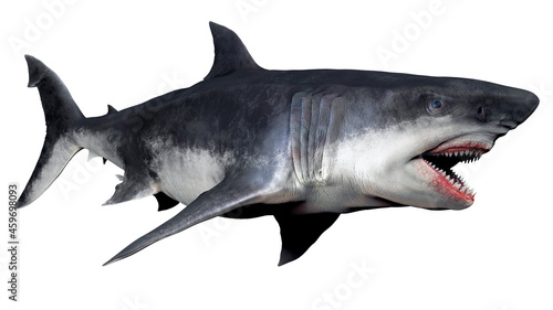 Wallpaper Mural MEGALADON BPR Render, of background. 3d rendering Torontodigital.ca