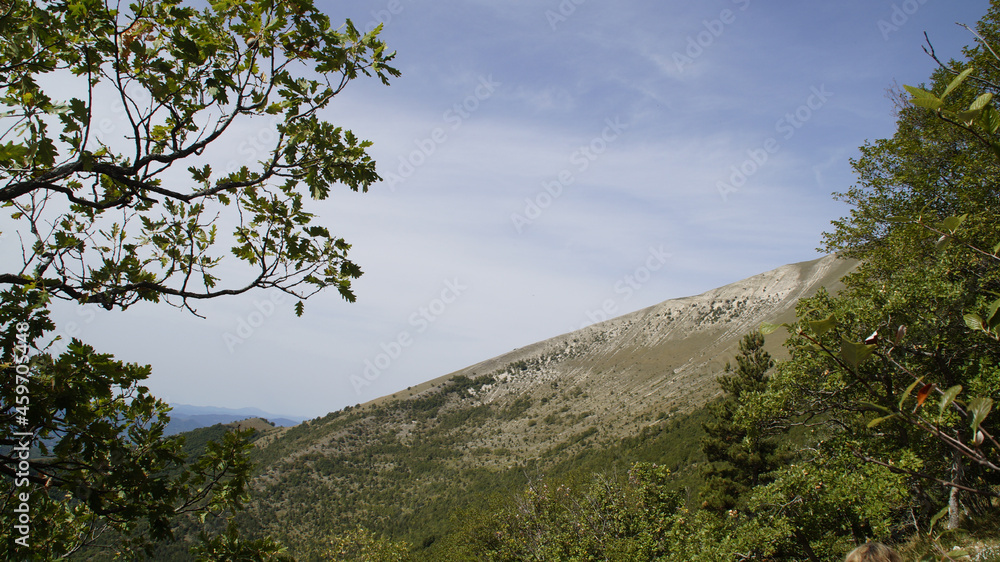 Vista dal sentiero 253 per andare al monte Catria Vista dal sentiero 253 per andare al monte Catria