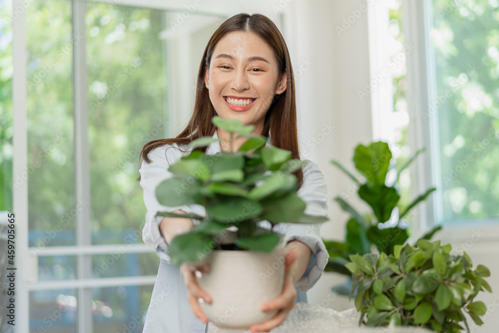Happy asian young woman, customer received, unpack package carton open parcel in cardboard box, holding ceramic plant pot. Moving, preparing in new house, relocation. Online shop delivery at home. Happy asian young woman, customer received, unpack package carton open parcel in cardboard box, holding ceramic plant pot. Moving, preparing in new house, relocation. Online shop delivery at home.