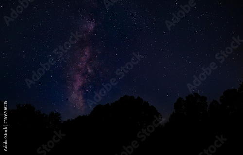 Milky Way rising over a forest